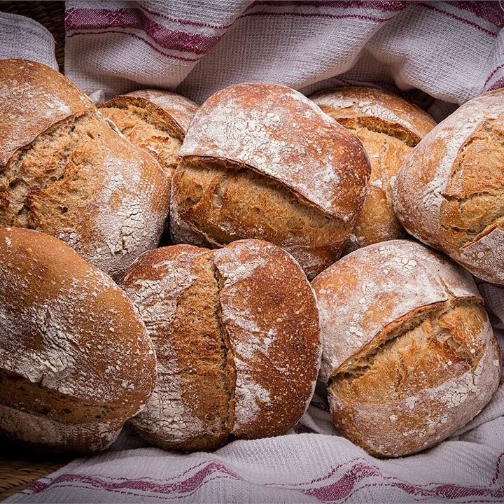 Whole Wheat Bread